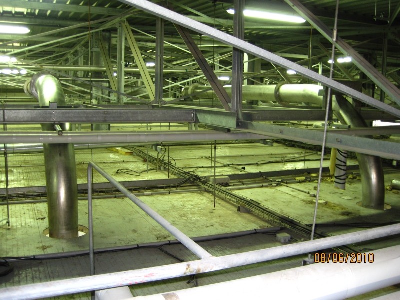 Réseau de tuyauteries dans abattoir